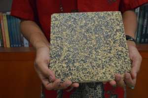Hebat, Papan Partikel ini Berasal dari Batang Singkong!