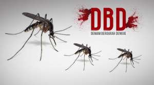 Tangkis Demam Berdarah dengan 6 Cara Ini