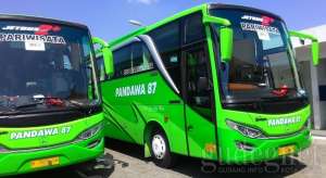 Tip Mudik Aman Pakai Bus, Wajib Diperhatikan!