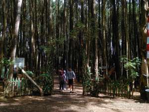 4 Lokasi Greget Buat Peringati Hari Sumpah Pemuda ke-88