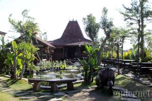 5 Tempat Ngopi dengan Suasana Pedesaan