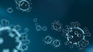 Tips Kenali dan Cegah Virus Corona