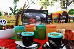 GKR Hemas Buka Lomba Taman Herbal di Kepatihan