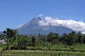 Aktivitas Merapi: Minggu Ini Cenderung Fluktuatif 
