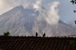 Merapi Siaga, Ini yang Harus Dilakukan 