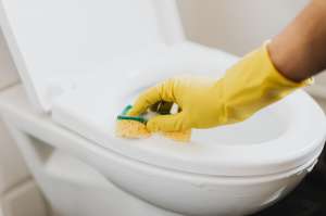 Tips Membersihkan Toilet